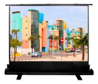 Экран Cactus 79" 120x160см FloorExpert CS-PSFLE-160X120 4:3 напольный рулонный