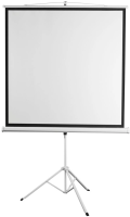 Экран на треноге Digis 135" 248x250см Kontur-D DSKD-1108 1:1 напольный рулонный белый
