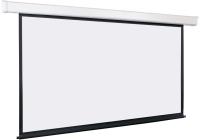 Экран Lumien 132" 198x300см Eco Control LEC-100112 16:9 настенно-потолочный рулонный белый (моторизованный привод)