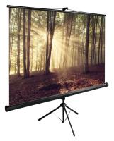Экран Cactus 89" 135x180см TriExpert CS-PSTE-180x135-BK 4:3 напольный рулонный черный