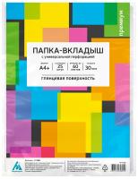 Папка-вкладыш Бюрократ Премиум -013BB глянцевые A4+ 30мкм (упак.:25шт)