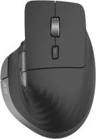 Мышь Acer OMR405 черный оптическая 4800dpi беспров. BT/Radio USB 9but (ZL.MCEEE.02V)