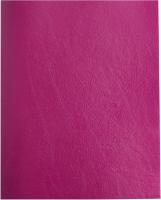 Тетрадь Buro 96л. клет. A5 202х163 1диз. бумвинил скоба