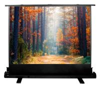 Экран Cactus 89" 135x180см FloorExpert CS-PSFLE-180X135 4:3 напольный рулонный