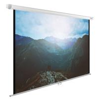 Экран Cactus 134" 240x240см WallExpert CS-PSWE-240x240-WT 1:1 настенно-потолочный рулонный