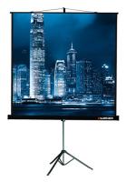 Экран на треноге Lumien 81" 128x171см Master View LMV-100106 4:3 напольный рулонный