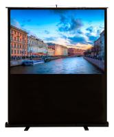 Экран Cactus 72" 90x160см FloorCompactExpert CS-PSFLCE-160X90 16:9 напольный рулонный