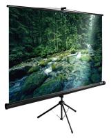 Экран Cactus 108" 165x220см TriExpert CS-PSTE-220x165-BK 4:3 напольный рулонный черный
