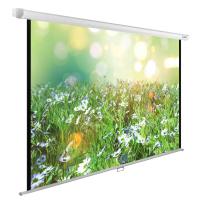 Экран Cactus 111" 200x200см WallExpert CS-PSWE-200x200-WT 1:1 настенно-потолочный рулонный