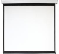 Экран 225x400см Digis Electra-F DSEF-16909 16:9 настенно-потолочный рулонный белый (моторизованный привод)