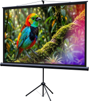 Экран Lumien 88" 200x115см Eco Picture LEV-100114 16:9 напольный натяжной черный