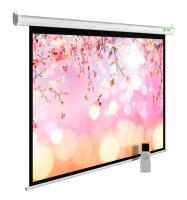Экран Cactus 122" 220x220см MotoExpert CS-PSME-220x220-WT 1:1 настенно-потолочный рулонный белый (моторизованный привод)