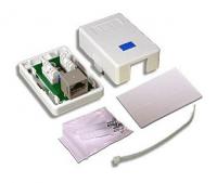 Розетка Lanmaster TWT-SM1-45-WHRJ45 кат.5E бел. (упак.:1шт)