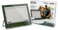 Прожектор уличный Gauss Elementary GFD006 светодиодный 100Втзеленый