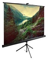 Экран Cactus 122" 220x220см TriExpert CS-PSTE-220x220-BK 1:1 напольный рулонный черный
