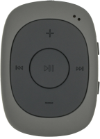 Плеер Flash Digma C2L 4Gb серый/FM/clip