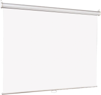 Экран Lumien 67" 120x120см Eco Picture LEP-100131 1:1 настенно-потолочный рулонный белый