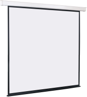 Экран Lumien 131" 244x244см Master Control 1:1 настенно-потолочный рулонный (моторизованный привод)