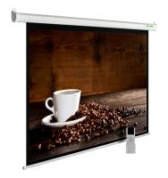 Экран Cactus 167" 300x300см MotoExpert CS-PSME-300x300-WT 1:1 настенно-потолочный рулонный белый (моторизованный привод)
