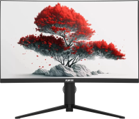 Монитор RDW Computers 27" RDW2706C (Q03В375V2A1) черный VA 1ms 16:9 HDMI M/M матовая HAS Piv 4000:1 300cd 178гр/178гр 2560x1440 75Hz DP QHD USB (RUS)