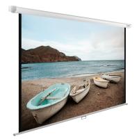 Экран Cactus 102" 138x220см WallExpert CS-PSWE-220x138-WT 16:10 настенно-потолочный рулонный белый