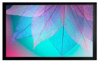 Экран на раме Cactus 99" 124x220см FrameExpert CS-PSFRE-220X124 16:9 настенный натяжной