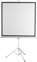 Экран 180x180см Digis Kontur-D DSKD-1105 1:1 напольный рулонный