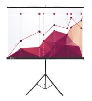 Экран Cactus 100" 180x180см Triscreen CS-PST-180x180 1:1 напольный рулонный черный