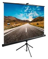 Экран Cactus 89" 160x160см TriExpert CS-PSTE-160x160-BK 1:1 напольный рулонный черный
