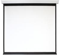 Экран 209x206см Digis Electra-F DSEF-1106 1:1 настенно-потолочный рулонный (моторизованный привод)