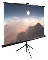 Экран Cactus 100" 180x180см TriExpert CS-PSTE-180x180-BK 1:1 напольный рулонный черный