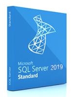 ПО Microsoft SQL Server Standard 2019 English DVD 10 Clt (228-11548)