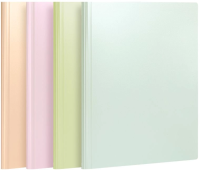 Папка с 60 прозр.вклад. Deli PQ306-60 A4 полипропилен ассорти