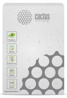 Бумага Cactus B CS-OPB-A480250 A4 марка B/80г/м2/250л./белый CIE153% общего назначения(офисная)