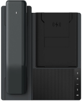 Телефон IP Fanvil DB20-H черный