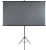 Экран на треноге Lumien 100" 124x120см Sky Cinema LSС-100102 16:9 напольный натяжной черный Экран на треноге Lumien 100" 124x120см Sky Cinema LSС-100102 16:9 напольный натяжной черный