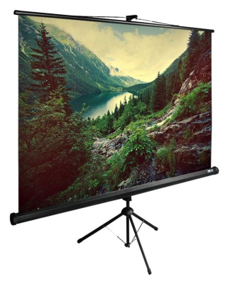 Экран Cactus 122" 220x220см TriExpert CS-PSTE-220x220-BK 1:1 напольный рулонный черный