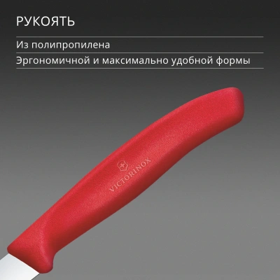 Нож кухонный Victorinox Swiss Classic 6.7401.C1 стальной разделочный для чистки овощей и фруктов лезв.80мм прямая заточка красный