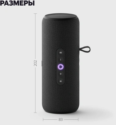 Умная колонка Yandex Станция Стрит Алиса черный 30W 2.0 BT/Wi-Fi 10м 3300mAh (YNDX-00030BLK)