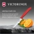 Нож кухонный Victorinox Swiss Classic (6.7701.C1) стальной универсальный для чистки овощей и фруктов лезв.100мм прямая заточка красный