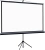Экран Lumien 100" 130x227см Eco Picture LEV-100115 16:9 напольный натяжной черный