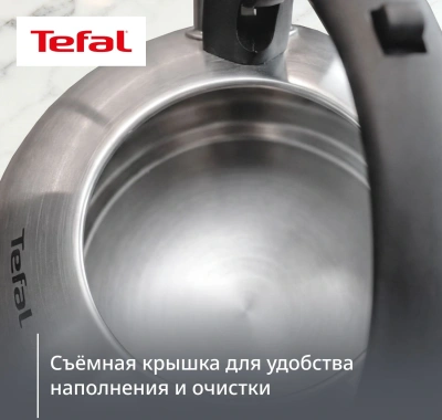 Чайник металлический Tefal Wawe N4210117 2.5л. серебристый (3110602015)