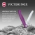 Нож кухонный Victorinox Swiss Classic 6.7835.FC1 стальной универсальный для овощей лезв.110мм серрейт. заточка пурпурный карт.коробка Нож кухонный Victorinox Swiss Classic 6.7835.FC1 стальной универсальный для овощей лезв.110мм серрейт. заточка пурпурный карт.коробка