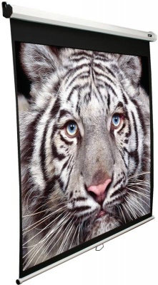Экран Elite Screens 152x203см Manual M100NWV1 4:3 настенно-потолочный рулонный белый