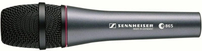Микрофон проводной Sennheiser E 865 серый