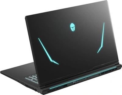Ноутбук Thunderobot Range 17 G2A Pro 2K Ryzen 7 H255 32Gb SSD1Tb NVIDIA GeForce RTX 5060 8Gb 17.3" IPS QHD (2560x1440) Windows 11 Pro black WiFi BT Cam (JT009X00QRU)