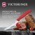 Нож кухонный Victorinox Swiss Classic (6.7831.C1) стальной столовый для овощей лезв.110мм серрейт. заточка красный