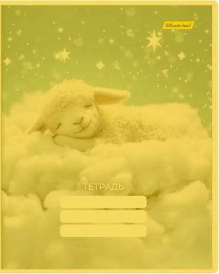 Обложка Silwerhof 2026956 Цветные для тетради (набор 10шт) ПВХ 130мкм матовая прозр. 210x350мм