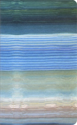 Блокнот Moleskine LIMITED EDITION CAHIER MUSEE D`ORSAY SKCAHL6911S3NL Large 130х210мм обложка картон 120стр. нелинованный мягкая обложка синий/коричневый (2шт)