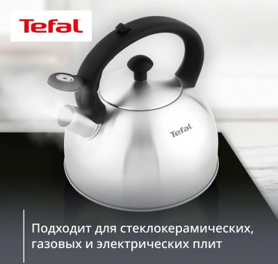 Чайник металлический Tefal Wawe N4210117 2.5л. серебристый (3110602015)